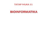 TM 11 Bioinformatika (Biologi Molekuler 2014).ppt