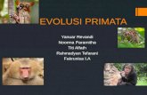 Evolusi Primata Fix Ed