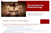 Fracture Healing Majuuuu