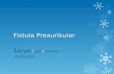 IDK Case v - Fistula Preaurikular