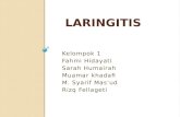 Laringitis Fix