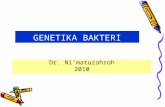 genetika bakteri_2011.ppt