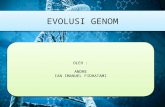 evolusi genom .pptx