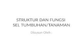 PPT Struktur Sel Dan Fungsi Tumbuhan Tanaman.pptx