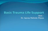 Basic Trauma Life Support-mal.ppt