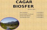 Ppt Cagar Biosfer