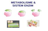 Metabolisme & SISTEM ENZIM