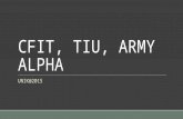 Cfit, Tiu, Army Alpha -2015un