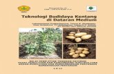 Monografi No 34 Teknologi Budidaya Kentang di Dataran Medium.pdf