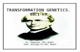K - 9 Transformation Genetics
