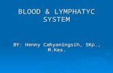 Blood & Lymphatyc System an-phyis