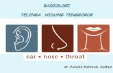 (23Mar) Kuliah 5 SSS Radiologi THT - Dr. Zulaika