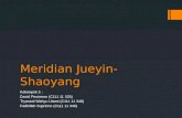 Meridian Jueyin Shaoyang