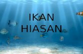 Ikan Hiasan Power Point