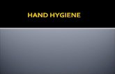 Hand Hygiene 2009