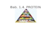 Bab v Protein
