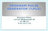 Program Pulse Generator (%Pls)