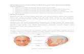 Praktikum Anatomi I Modul 2.1.pdf