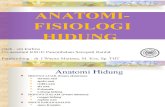 Anatomi Fisisology Hidung2-Ppt