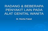 Radang & Beberapa Penyakit Lain Pada Alat Genital