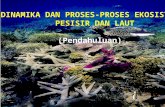 Dinamika Dan Proses2 Ekosistem Pesisir Dan Laut