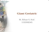 Geriatric Giant Iksann