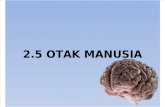 2.5 - 2.7 Otak Manusia & Kerencamannya