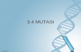 3.4 Mutasi