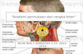 L21 - Anatomi Permukaan Dan Rangka Leher (drg. Cintan).ppt