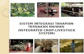 Lecture Integrated Crop-livestock System