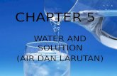 Chapter 5 Water and Solution