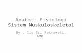 Anfis Sistem Muskuloskeletal.pptx