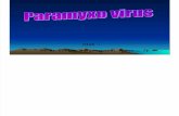 6. Penyebab Virus -Paramyxo (Mumps) Dan Varicella V