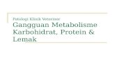 PPT Gg Metab Protein, Kh, Lipid
