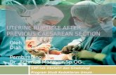 Uterine Rupture After Previous Caesarean Section