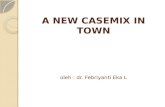 casemix-ina cbg NEW presentation