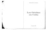 LOS ORISHAS EN CUBA.pdf