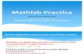 Mathlab Practice