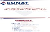 c02 Sunat Organizacion y Funciones v7