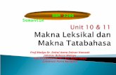 BBM 3206 Unit 10 & 11 Makna Leksikal & Makna Tatabahasa NSPP
