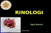 Rinologi Agus