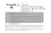 Topik 4 Asas Neurofisiologi Dalam Kawalan Motor 1