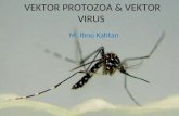 1. Vektor Protozoa & Vektor Virus