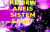 Anfis Sistem Saraf