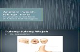 Anatomi Wajah, Telinga, Mata Fix