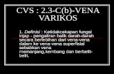 003 - CVS - Vena Varikos
