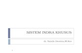 Sistem Indra Khusus