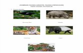 Gambar Fauna Asiatis (15 Gambar)