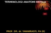 DKP 4.3 terminologi anatomi kepala.ppt