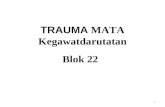 Blok 22 Trauma Mata Kegawatan Darutan Dr. Hamdanah